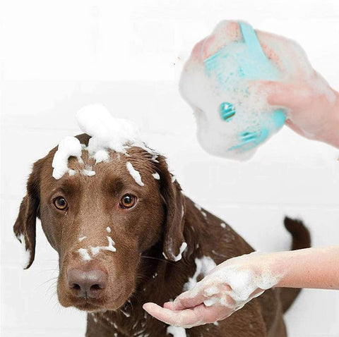 Påfyllbar dusjbørste for hunder