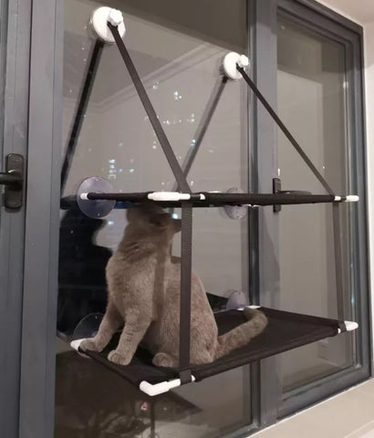 Fönsterbädd för katt