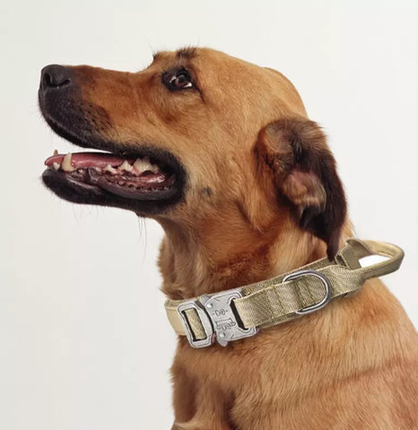 Hundehalsbånd Militær
