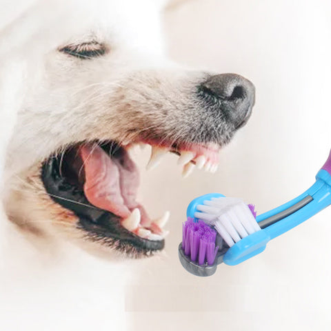 Dog toothbrush with three heads