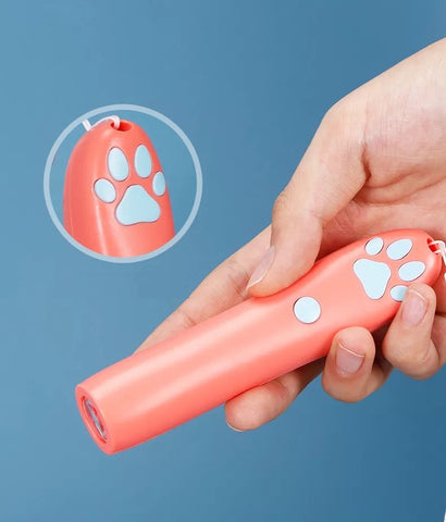 Laser pointer for cats