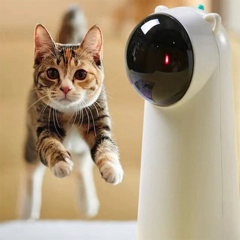 Cat laser