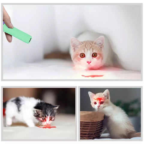 Laser pointer for cats