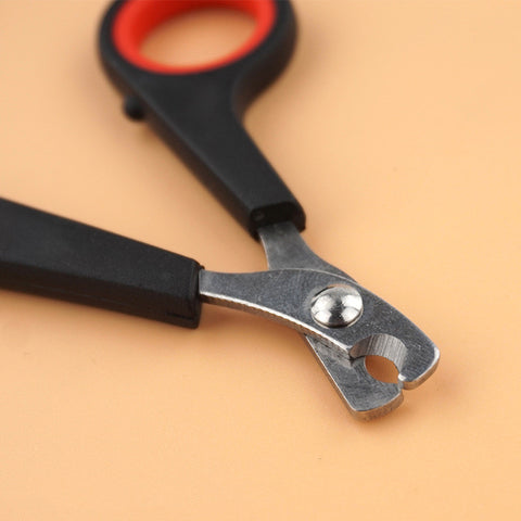 Claw scissors for cats and small dogs