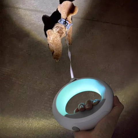 Hundebånd med LED-lys og lommelykt