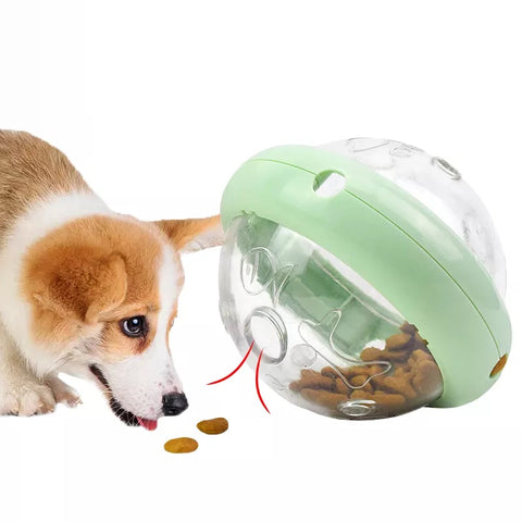 Interactive toy for dog and cat
