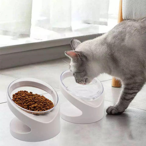 Food and water bowl for dogs and cats