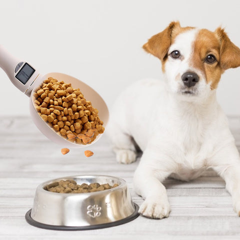 Feeding bucket with scale