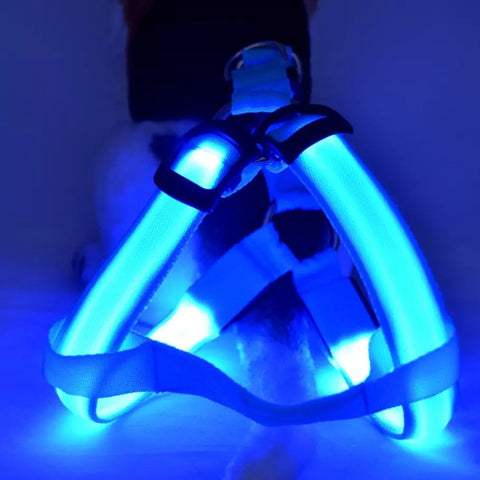 Harness with LED lights