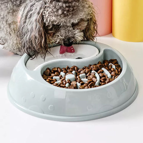 Slow bowl Matskål för hund