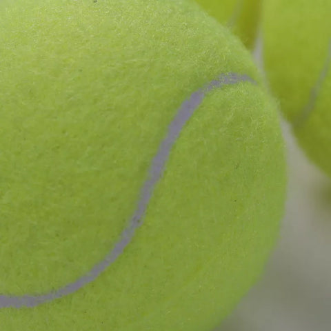 Tennis balls for dog play - fetch