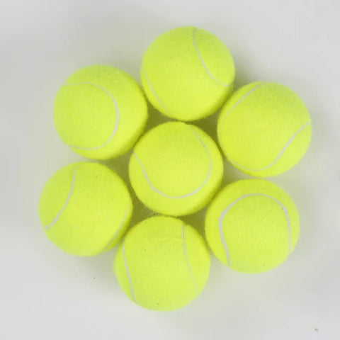 Tennis balls for dog play - fetch