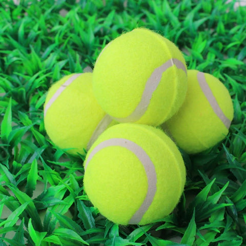 Små tennisbollar för hundar