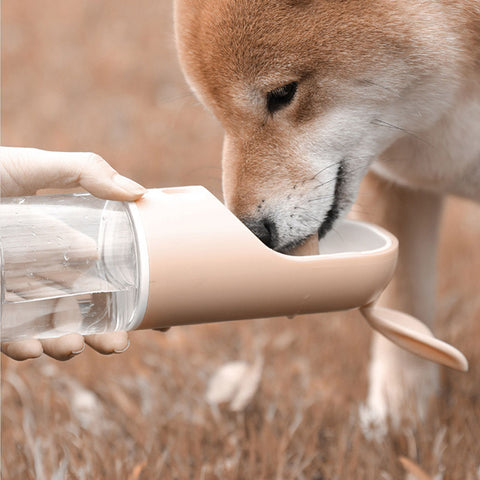 Bærbar vannflaske til hund