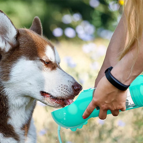 Multifunctional water bottle for dogs