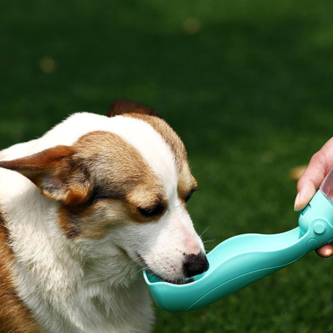 Bærbar vannflaske for hunder