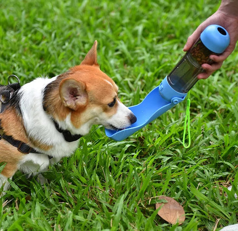 Water bottle For dogs and cats Multifunctional