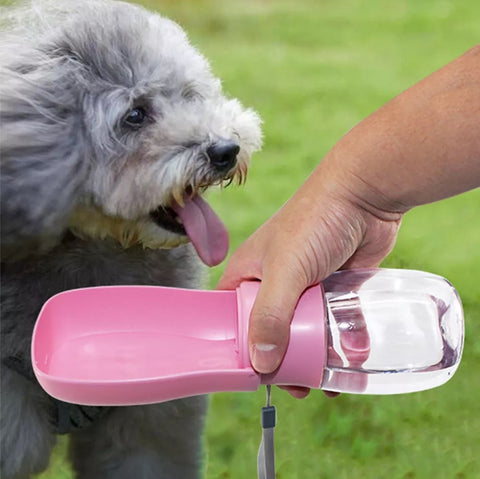 Liten bærbar vannflaske for hunder og katter