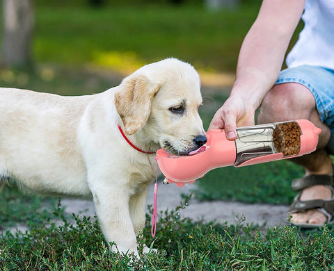 Multifunctional water bottle for dogs