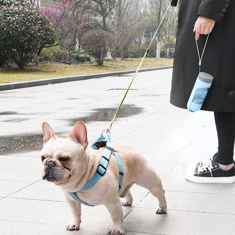 Pull-out water bottle for dog