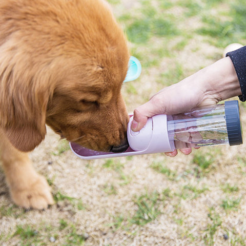 Pull-out water bottle for dog