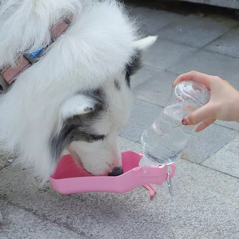 Vannflaske til hund