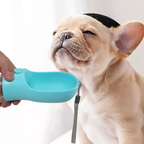 Portable water bottle for dog