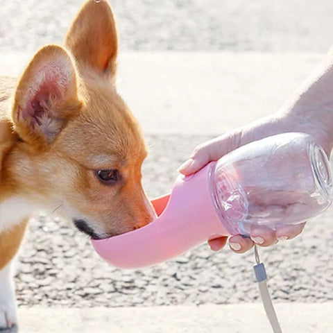Portable water bottle for dog