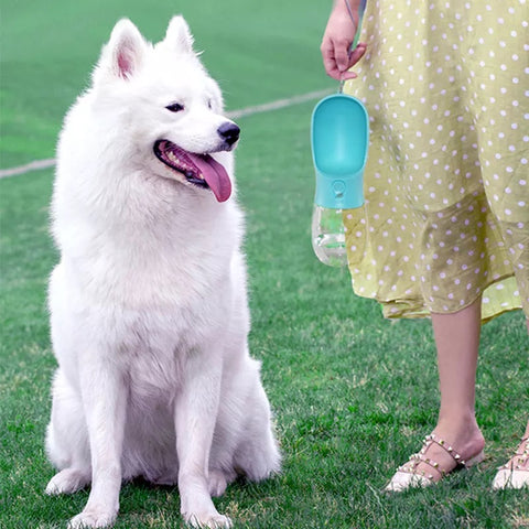 Bærbar vannflaske til hund