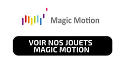 sextoy magic motion