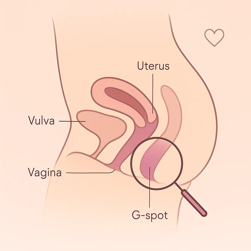 Comment Trouver Point G ?