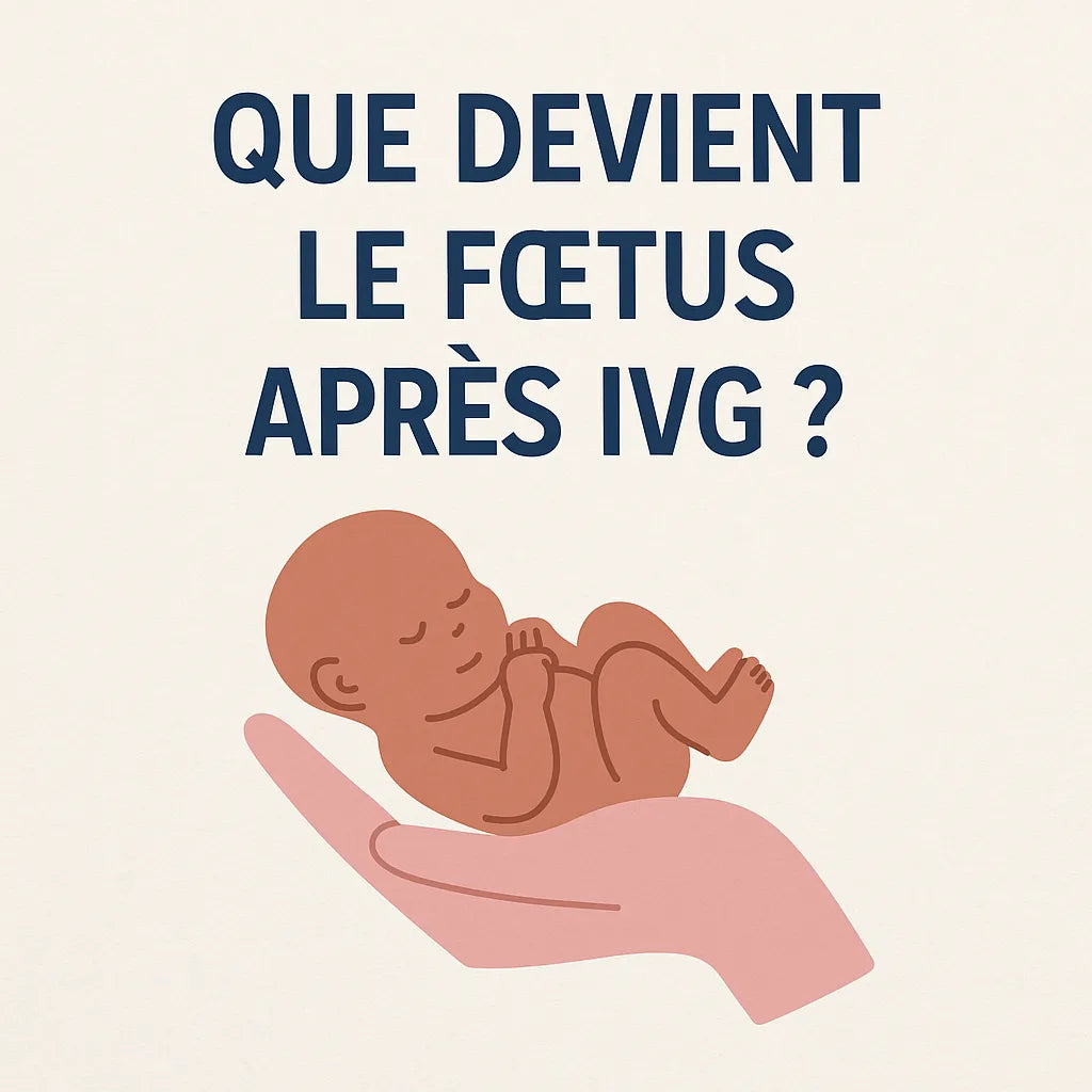 Que Devient Le Fœtus Après Ivg ?