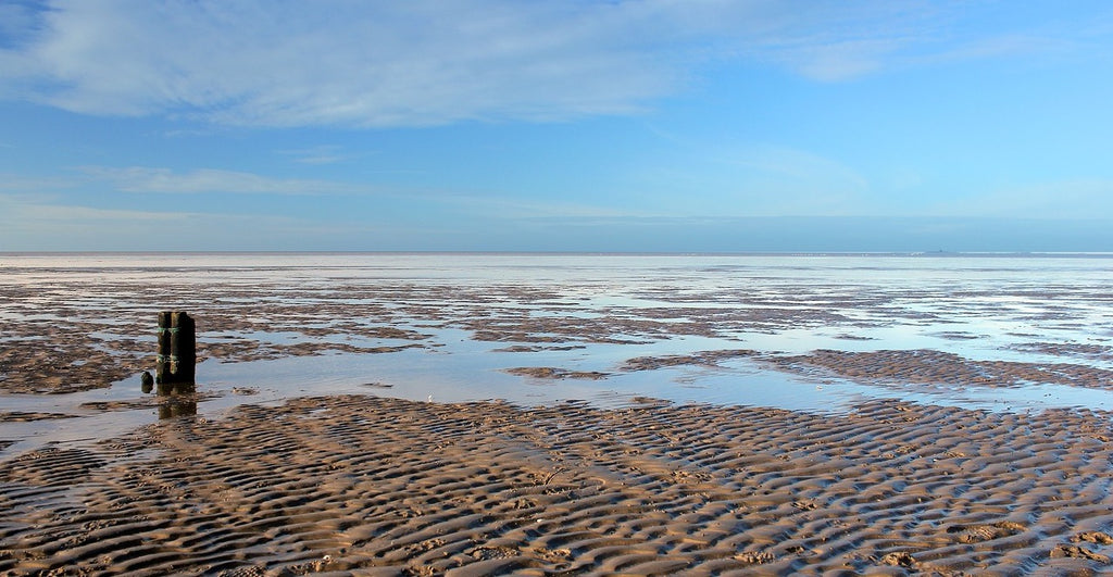 the tidal (mud) flats