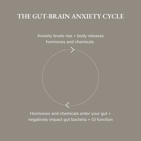 how anxiety impacts your gut