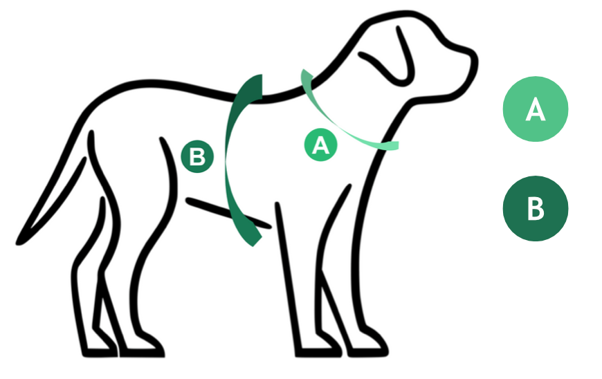 Dog Size Chart