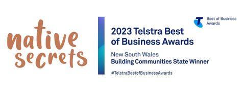 Native Secrets / Telstra Business Awards logo