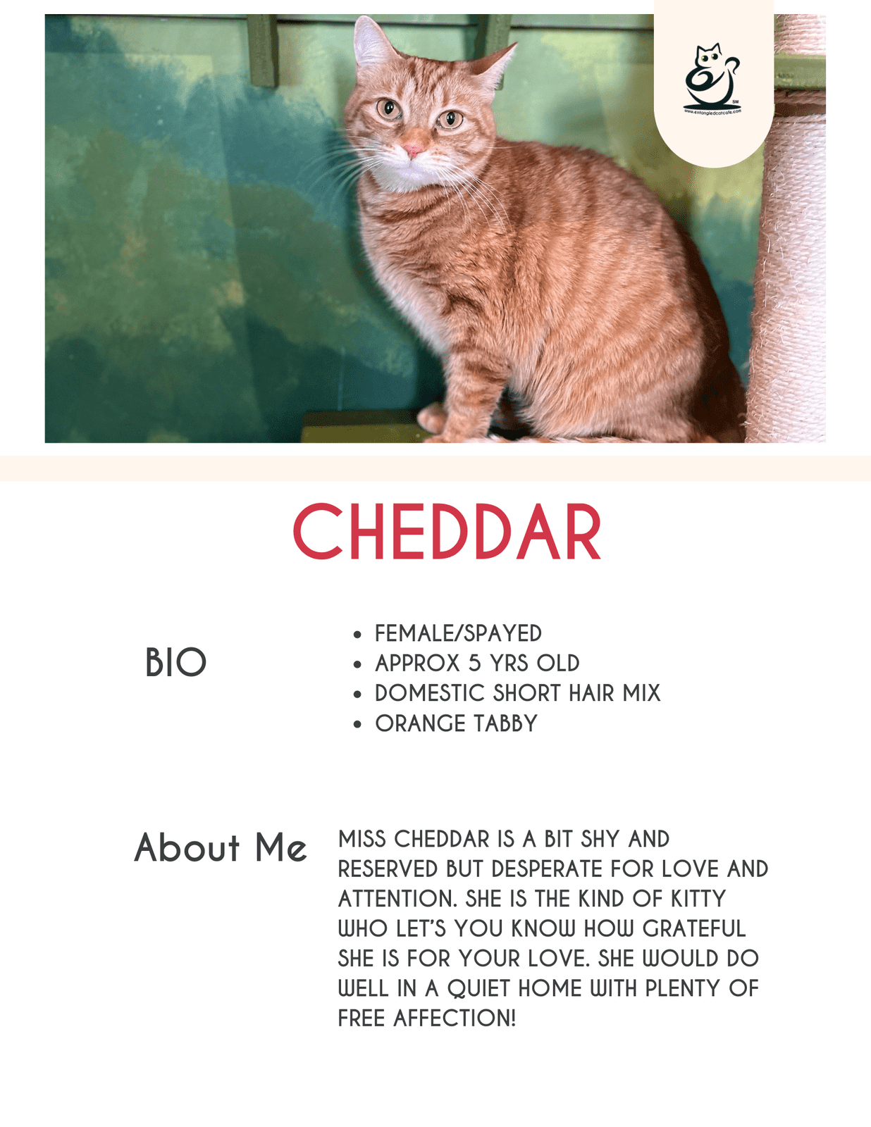 Cheddar