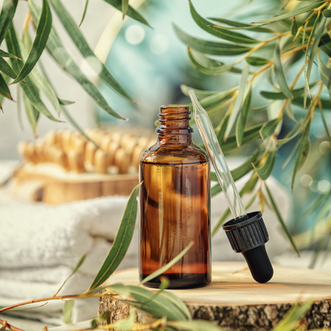 How to Use Essential Oils from Trees  Grounding & Restorative Essential  Oils