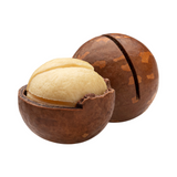 Macadamia nut in outer hard shell