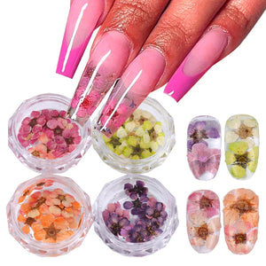JazzHer 3D Dried Flowers Nail Art Decorations Dead Nature Nail Dry Flowers Manicure Floral Bloom Nail Art Beauty For Charms Accessories - JazzHer
