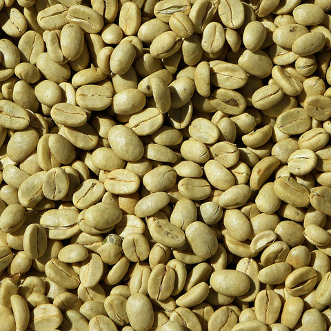 Nicaraguan green coffee  beans 