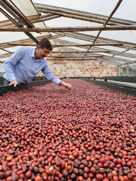 Colombian coffee merchant