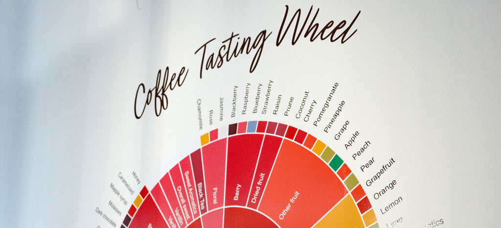 coffee tasting wheel