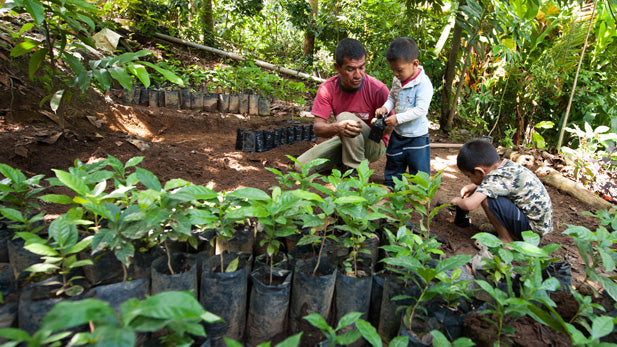 More than just coffee - Chiapas District