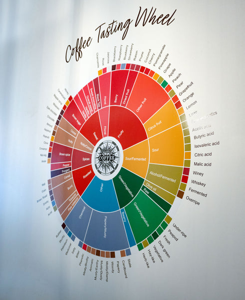Coffee tasting wheel in the education hall of Belleair Coffee Company, Belleair Bluffs, FL