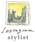 instagram stylist