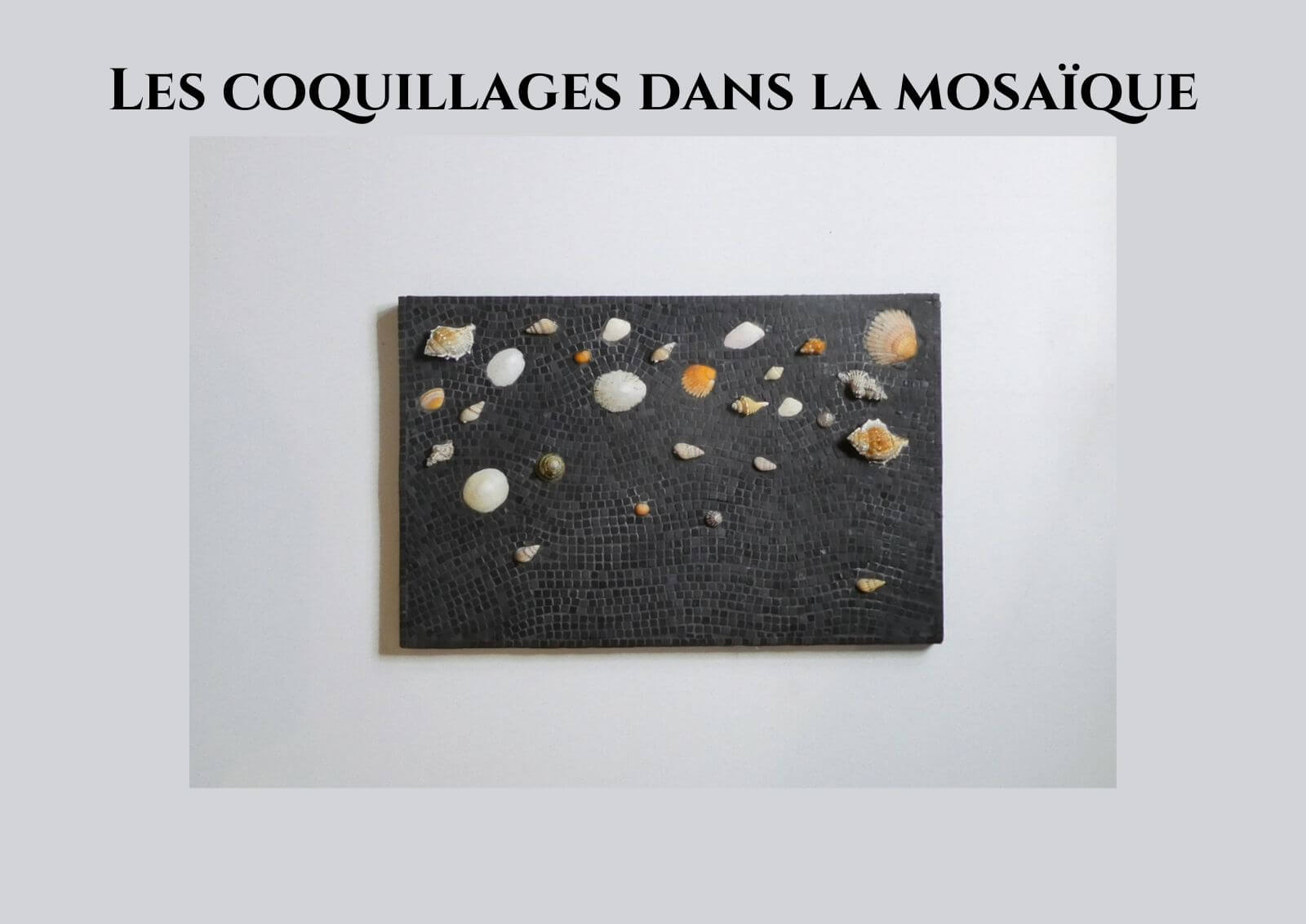 De la biophilie à la mosaïque - les coquillages