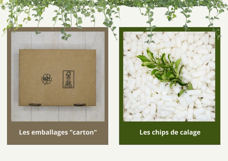 Tout sur le conditionnement chez Mosaïqu'ella - les cartons de livraison et les chips de calage