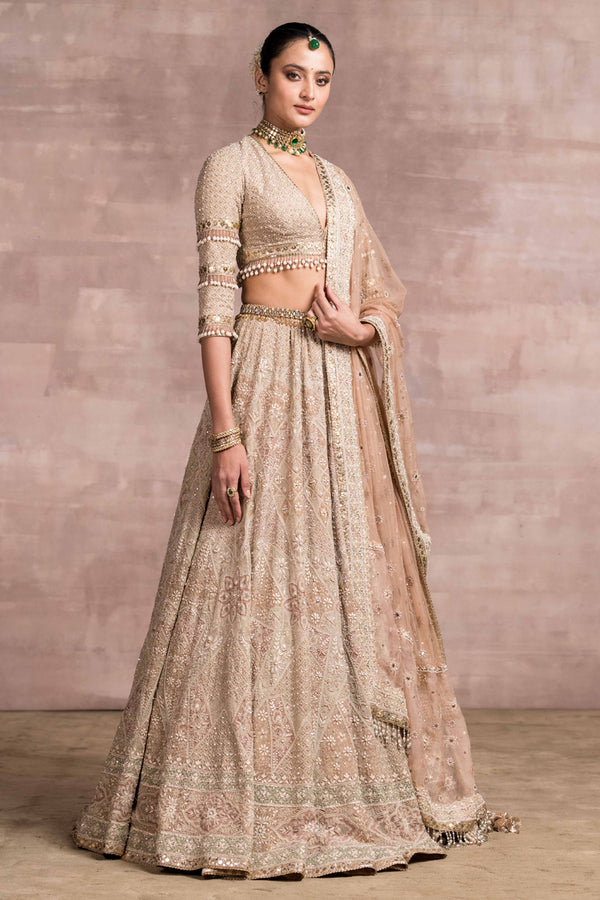 Georgette Chikankari Work Lehenga With Resham Jaal Dupatta – Meena Bazaar US