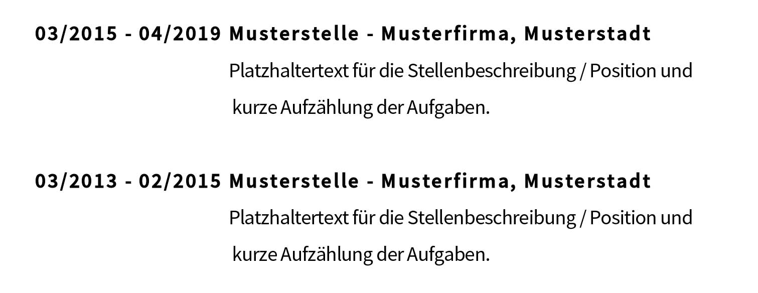 Muster Lebenslauf Stationen Formatierung MBV